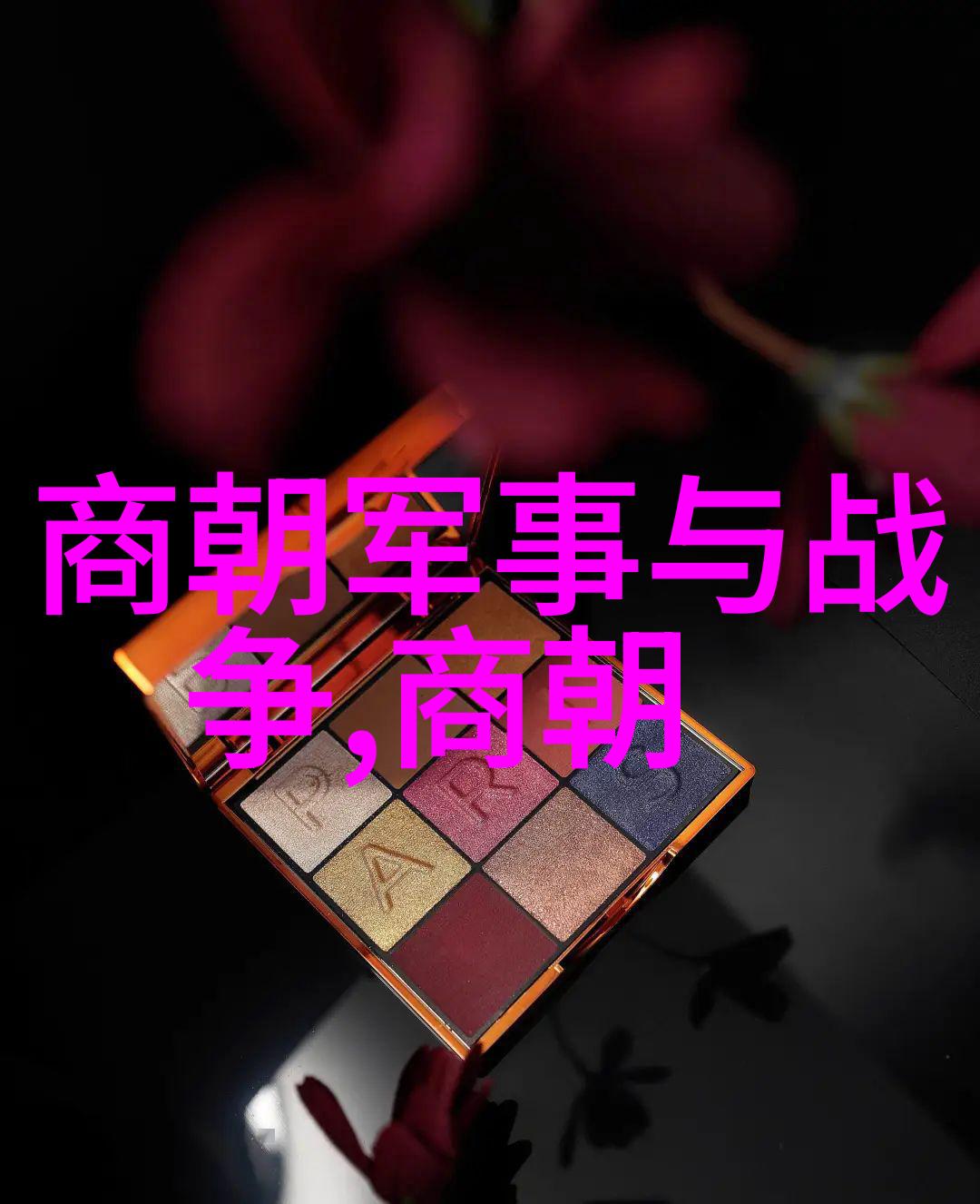 赵淳生中国超声电机奠基人淮南市教育科研的推动者