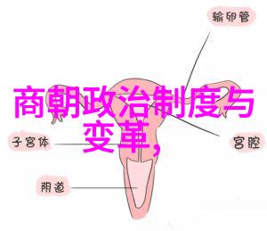 星河之恋牛郎织女的永恒传说
