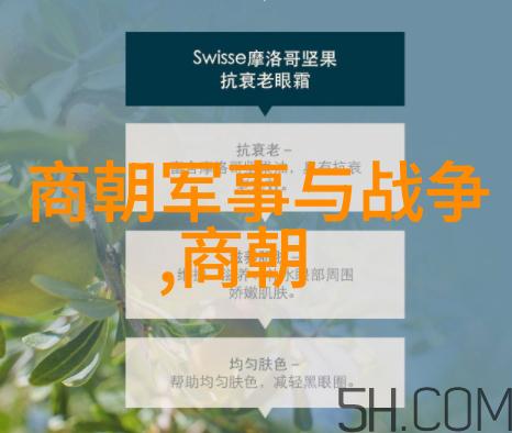 明朝开国君主朱元璋对南宋文化有何影响和继承