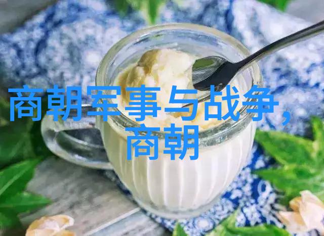 明朝的盛世与衰败强大帝国背后的历史考量