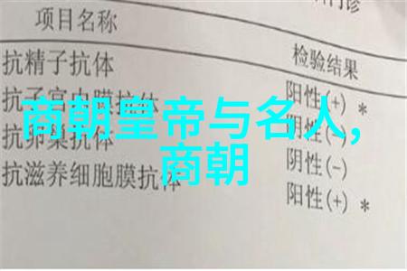 明朝是最烂的王朝-沉沦的江山揭秘明代政治腐败与社会衰败