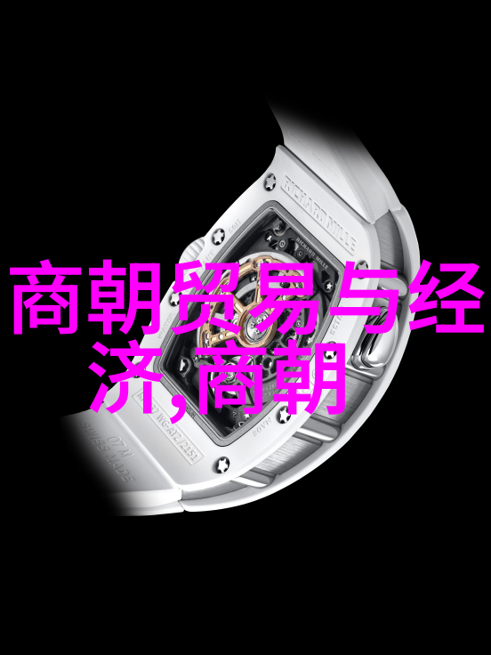 纷飞的时光探索明朝历史的迷雾
