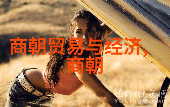 明朝哪些事儿-揭秘明朝那些事权力斗争与文化繁荣