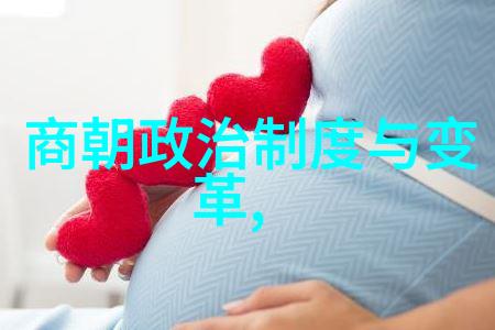 明朝风云录从永乐北伐到李自成之乱