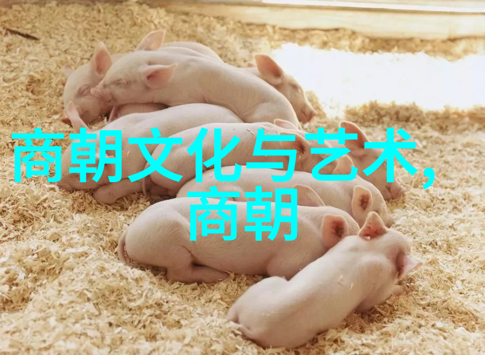 明清两朝贫困探究历史的阴影与社会的转变