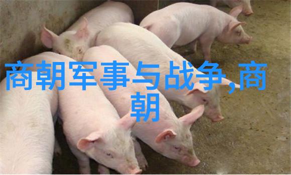 明朝那些事儿百科 - 明末清初的政治风云与文化变迁