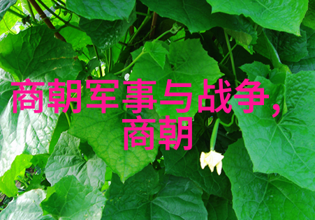 古代中国官职品秩考录