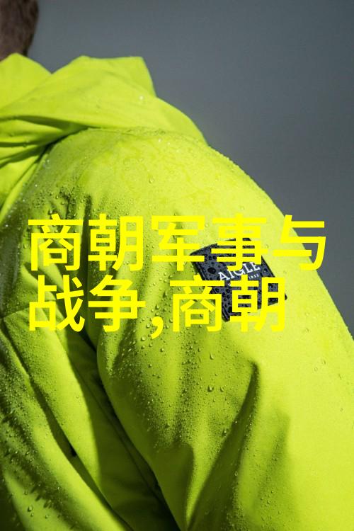 明朝历史视频播放方法研究探索视觉叙述中的史学价值