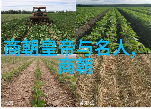 从山寨到都城宋国是怎样一步步建立起来的