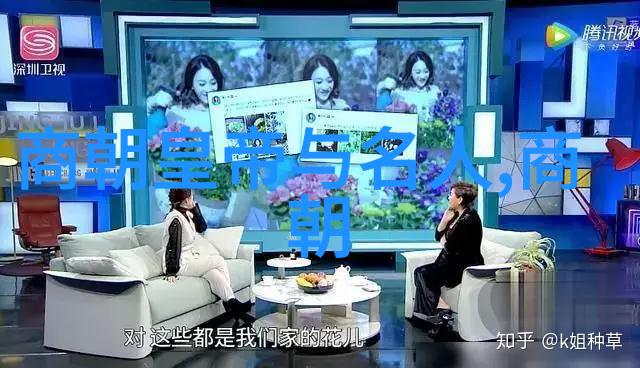 北周 隋朝 - 从长安到大业北周与隋朝的历史转折