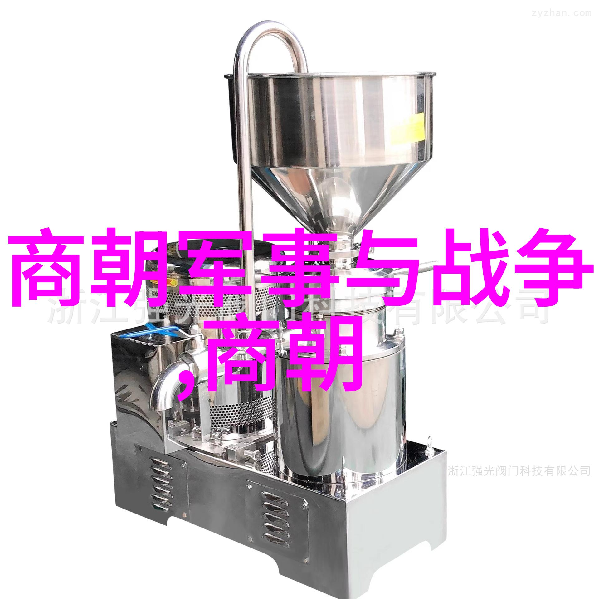 辽国的建立与元朝的辉煌忽必烈的统一梦想