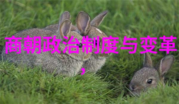 元朝对中国的贡献中国历史发展文化交流经济繁荣
