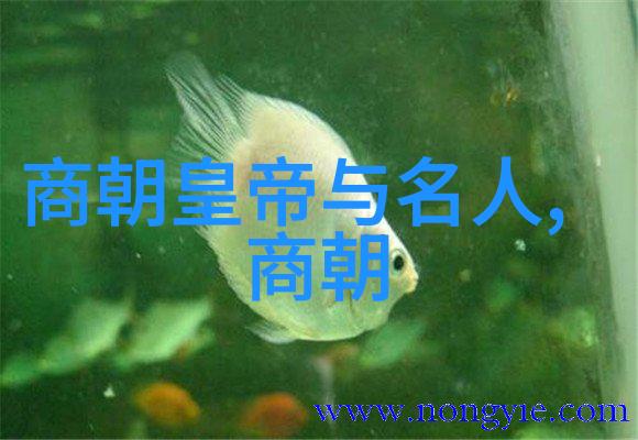 土木堡惨败揭秘蒙古铁骑如何在那一战中夺走了多少疆土与命运