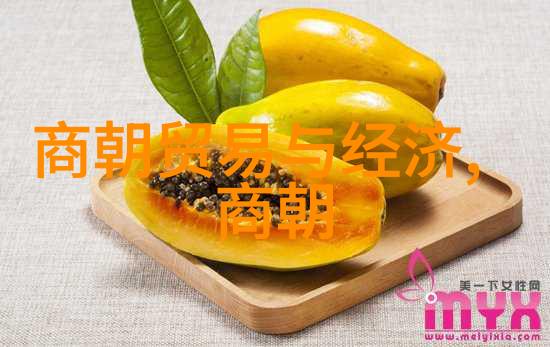 中国元代四大名人陈友定智慧如星辰光芒万丈1368