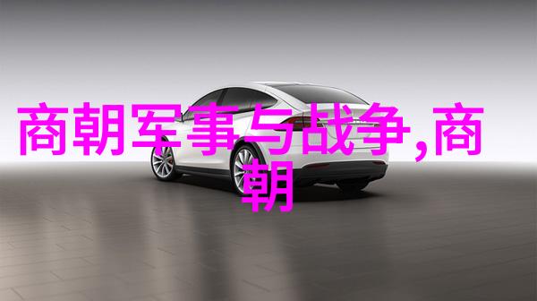 五代十国灭亡后历史 - 北宋初期的统一与巩固五代十国混战后的新纪元