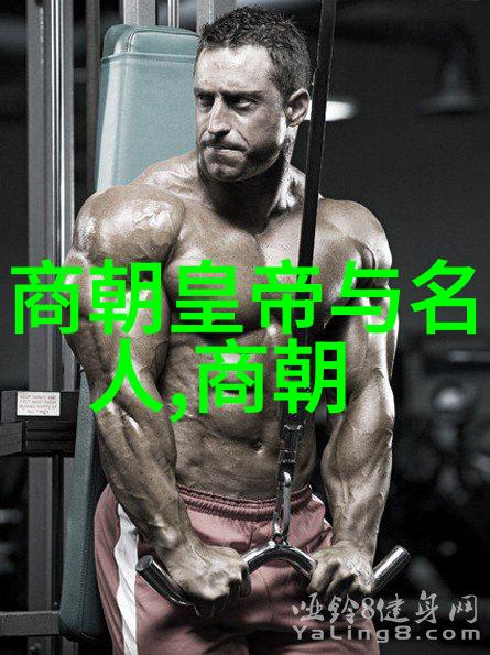 北宋末年国势衰微的原因探究