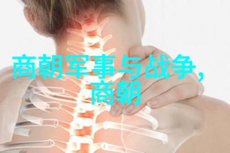 元朝历史风云忽必烈征服南宋蒙古铁骑西征与大都兴衰