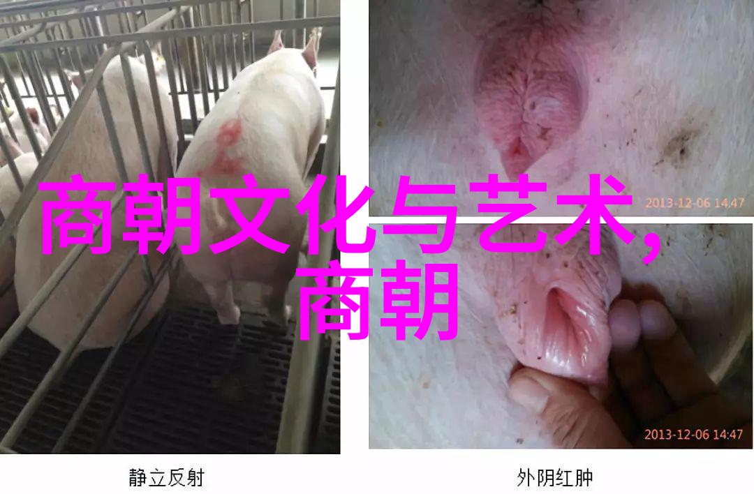 帝王家谱上的隐秘线索解读光绪与其父亲之间的情感纽带