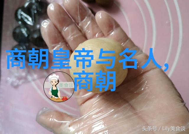 南诏国的衰落与灭亡背后有哪些关键因素