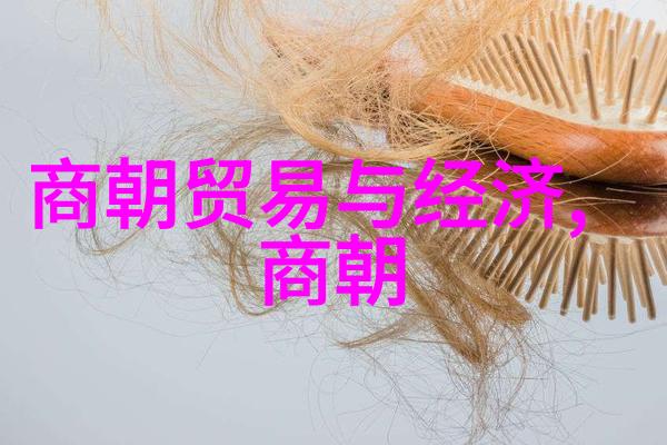 明朝历代 一览-重访明朝辉煌历代帝王与社会变迁