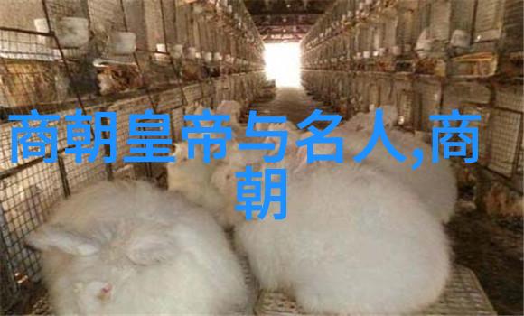 京剧脸谱颜色秘密梅绍武探索传统戏曲的深层含义