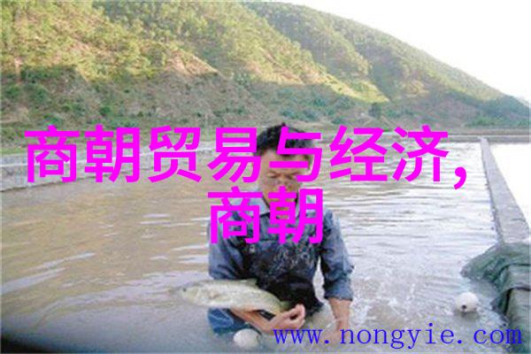 明代帝王年号历谱