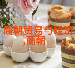 中国历史的序章元朝的辉煌与争议