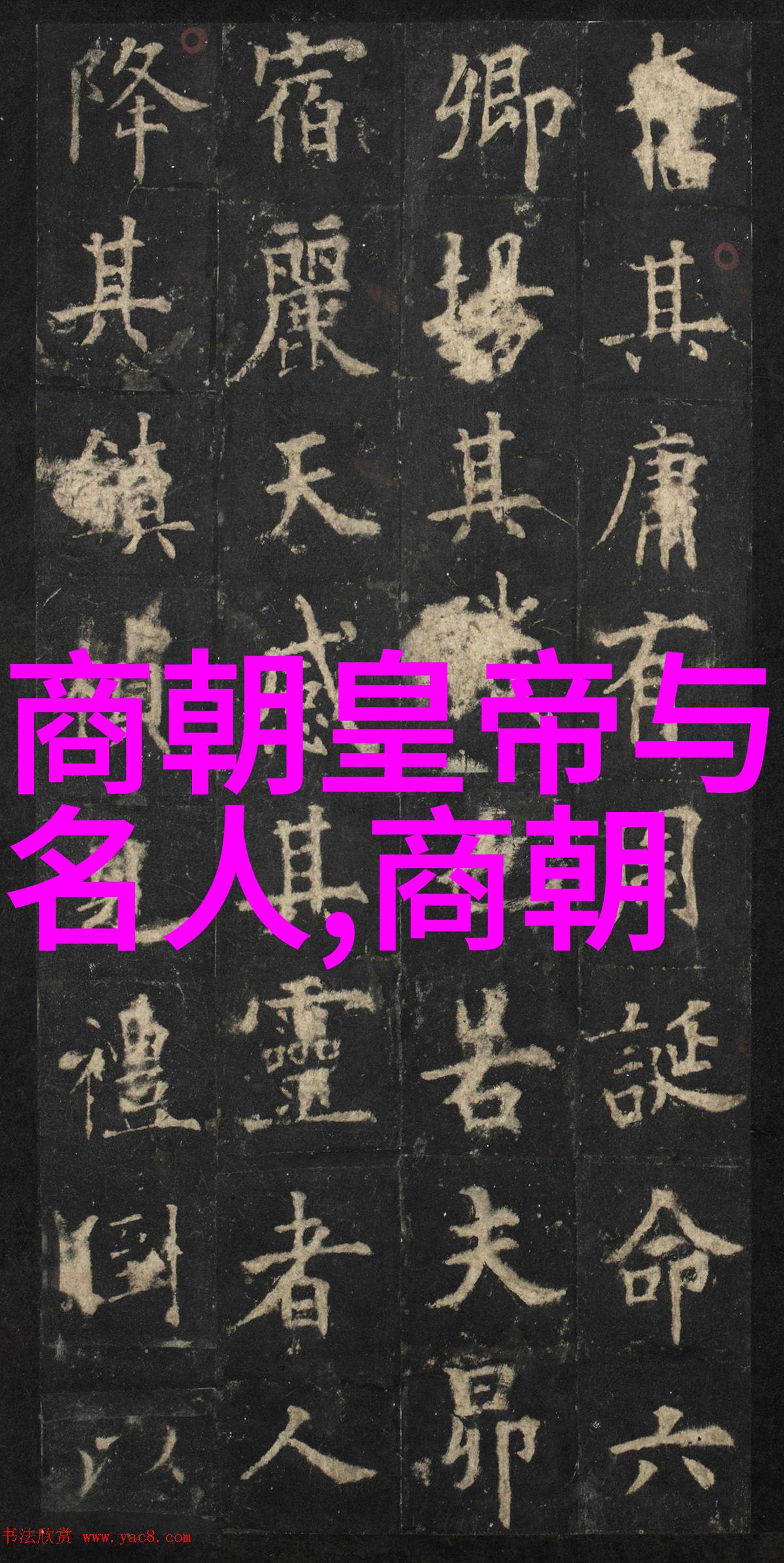 太后之影孙若微的沉默反叛