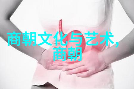 明朝权势排行龙凤呈祥与暗流涌动