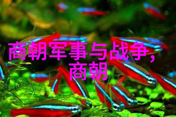 美丽不仅限于外表深度剖析宋朝第一美人的内在魅力