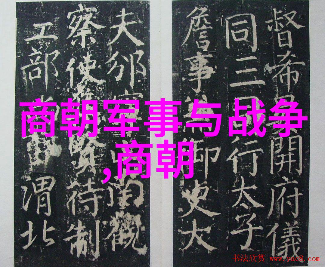 明朝煌烂史篇重塑历史脉络的关键时刻