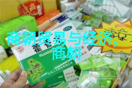 一张简单的地理标记一段悠久的文化传承分析中国历史朝代简图设计原则