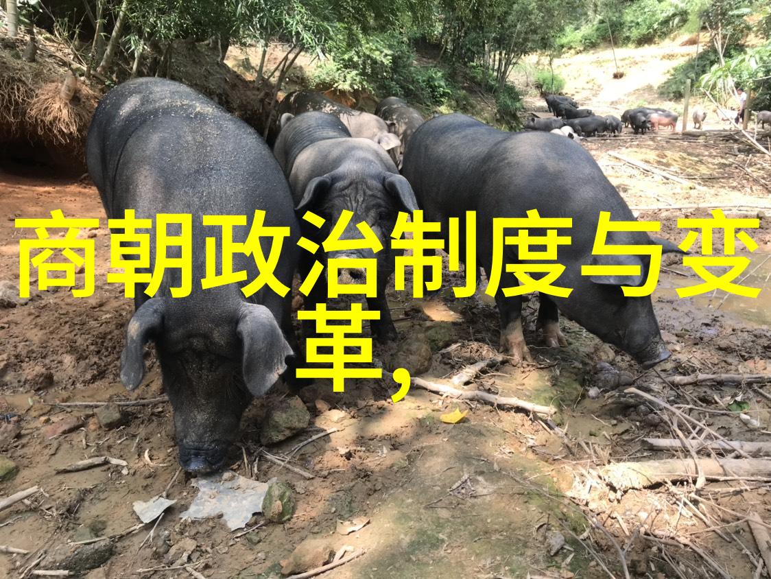 唐僖宗弦断琴声散宦官手中傀儡皇帝的悲剧故事