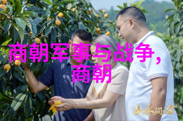 从战场到书桌文艺复兴下的南宋士人世界观
