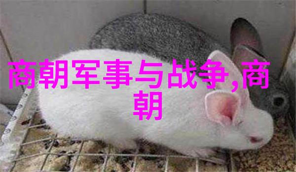儿童红色经典故事精选每个五分钟的启蒙篇章