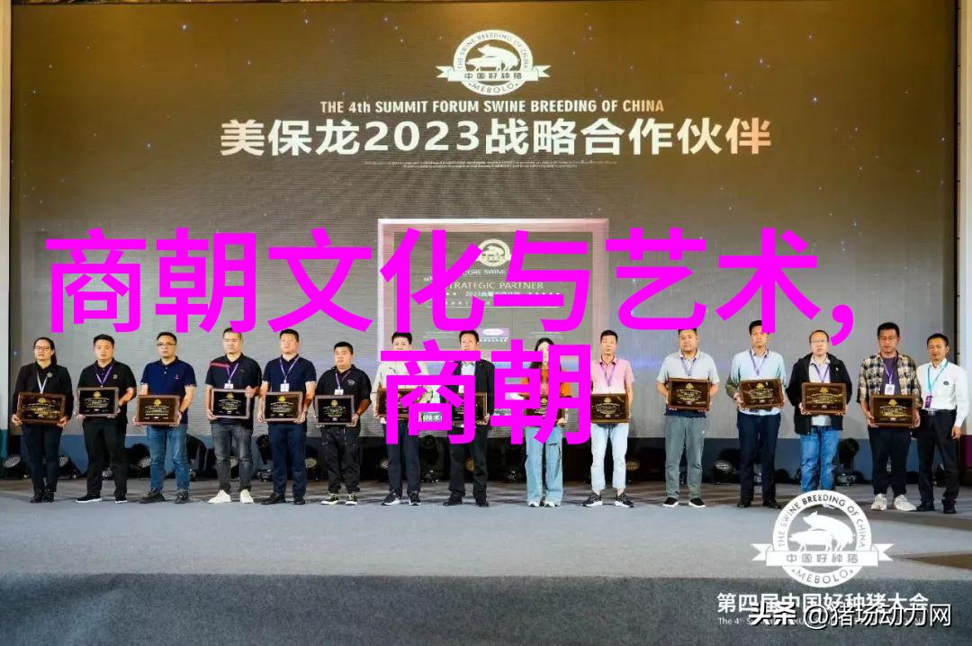 天命之年明朝的辉煌与转折
