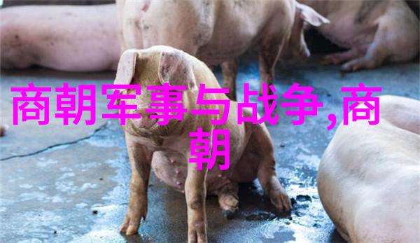 唐朝奇谭录唐朝的神秘与怪异