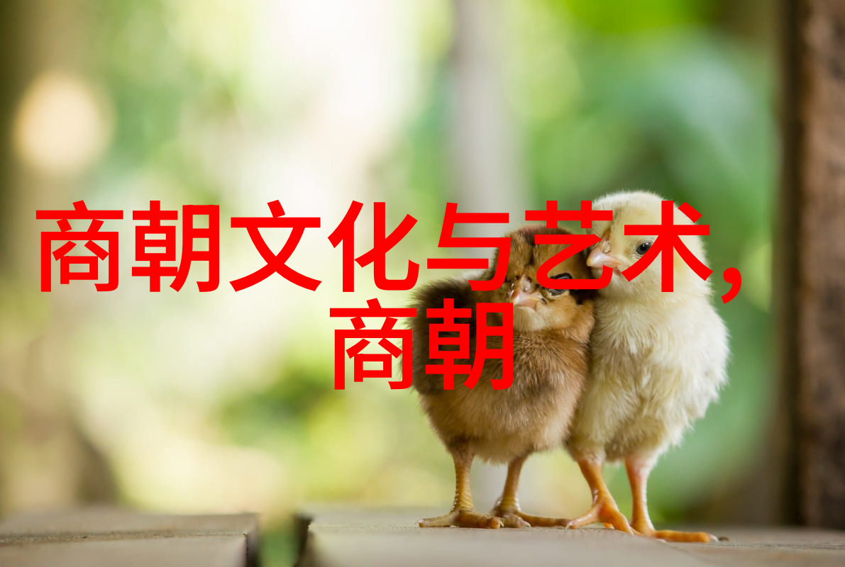 编年史中的龙脉探索中国历代王朝的兴衰变迁