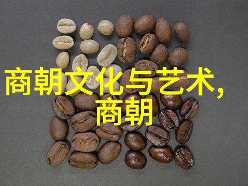 中国大明历史-大明王朝的辉煌与衰落从建国到亡国的历史探究