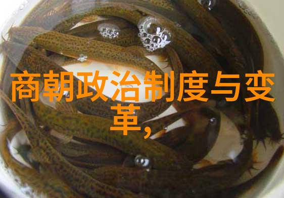 明朝内部权力斗争对明宣宗健康状况有没有直接作用