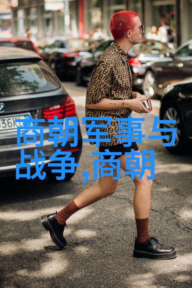 在电视剧中武宗和英宗两帝的统治有什么不同之处
