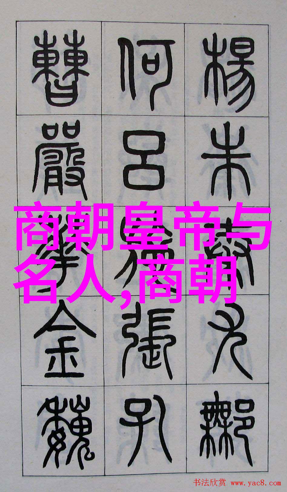 多配偶制生活方式探索一夫多妻的现实挑战