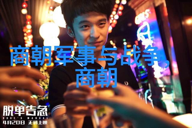 靖康之痛刘亦菲主演电视剧中的历史与戏剧融合探究
