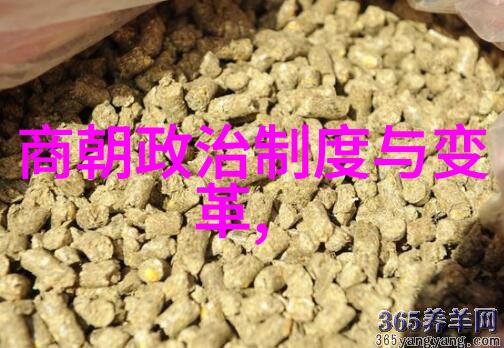 最诡异的朝代神秘皇帝与妖精宴
