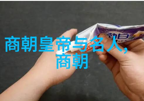 北周与隋朝的历史交汇从政权更替到文化繁荣