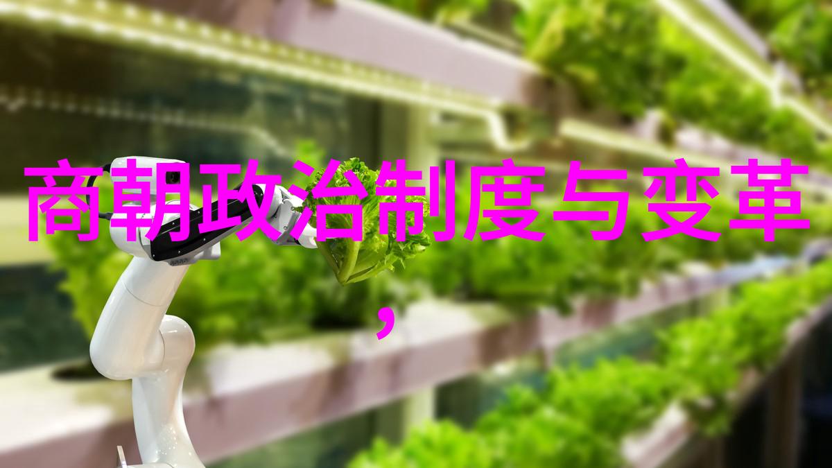 明朝-顺序列表及简介帝王辉煌与国运兴衰