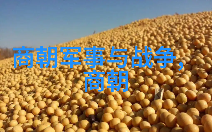 在三国鼎立时期范浩民为何没有加入吴蜀或魏一方