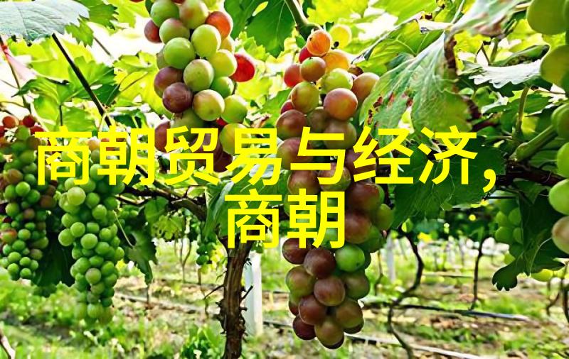 探索中华文明中国历史的朝代之旅