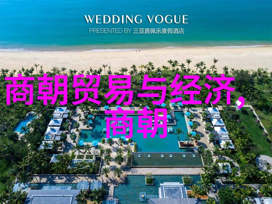 清朝领土保全策略的历史考量与国际关系对策