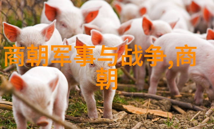 刘伯温与李善长明代两大数学家谁更为杰出
